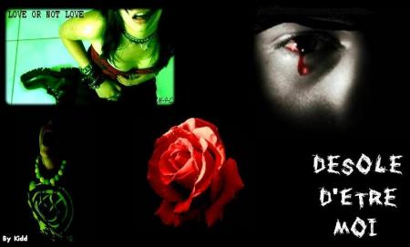 mon montage...
